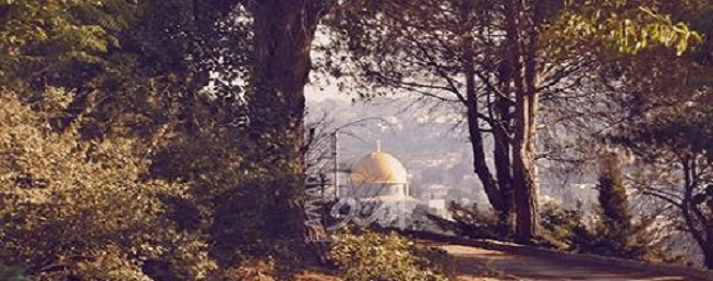 شاركتم في دبح القدس