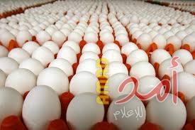 ضبط كمية من البيض المهرب في بيت لحم