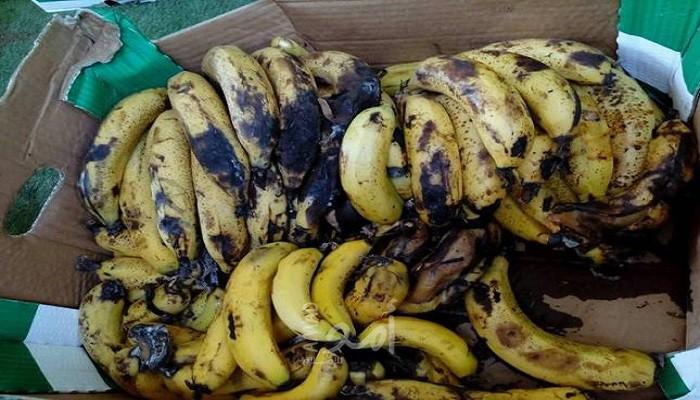 جنين: ضبط فاكهة وبهارات غير صالحة للاستهلاك الآدمي