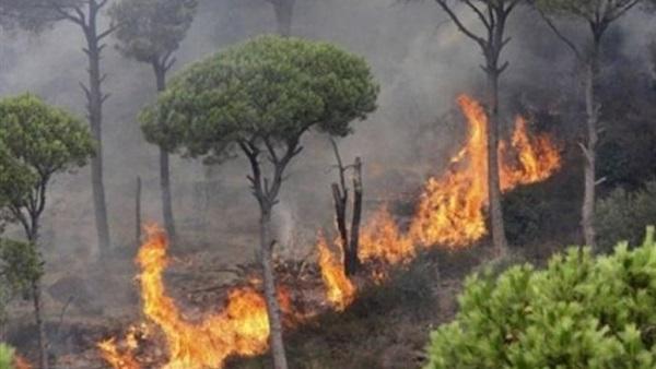 حريق غابات يهدد ألفي منزل في جنوب غرب فلوريدا