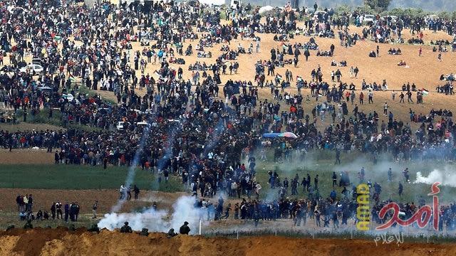 يونس: إسرائيل تستخدم أسلحة محرّمة دوليًا ضد المتظاهرين بغزة