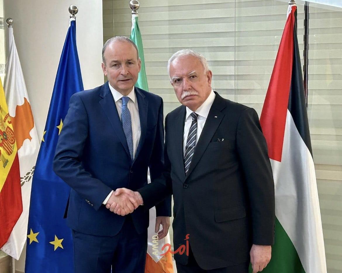 المالكي يطالب بضرورة العمل الفاعل لوقف إطلاق النار وحماية المدنيين الفلسطينيين