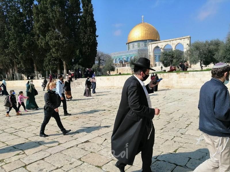 القدس: (49) مستوطنا يقتحمون ساحات "المسجد الأقصى"