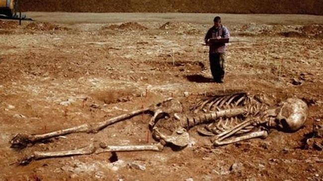 اكتشاف رفات نوع جديد من البشر