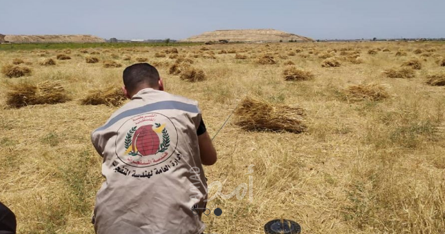 خانيونس: أجهزة حماس الأمنية تعثر على "3" قذائف حربية من مخلفات الحروب