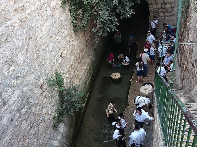 حفريات استيطانية أسفل منازل المواطنين في سلوان