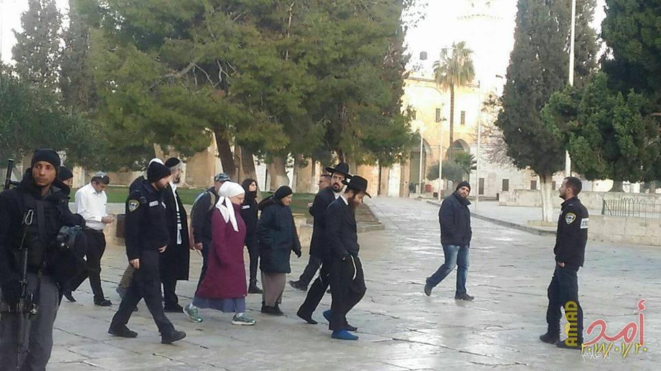 عدد من المستوطنين يقتحمون المسجد الاقصى
