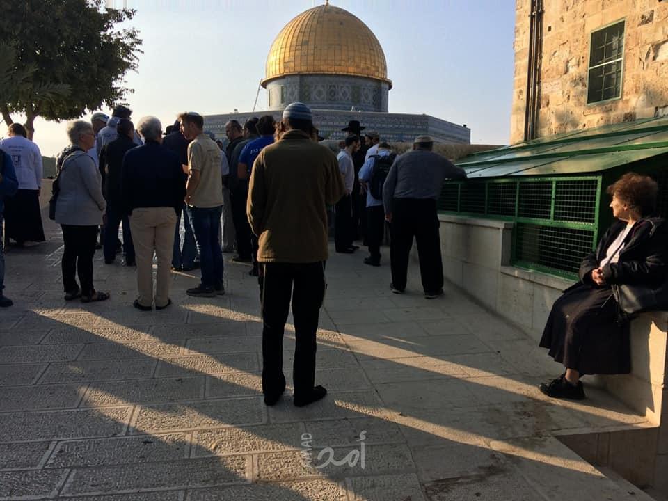 88 مستوطنا يقتحمون المسجد الأقصى بحراسة شرطة الاحتلال