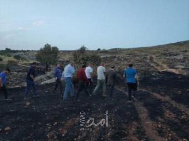 جنين: النيران تأتي على 10 دونمات زراعية في فقوعة