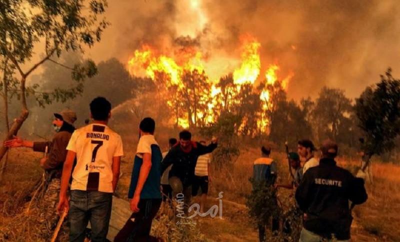 الرئيس الجزائري يصف الحرائق في بلاده بـ"الكارثة"