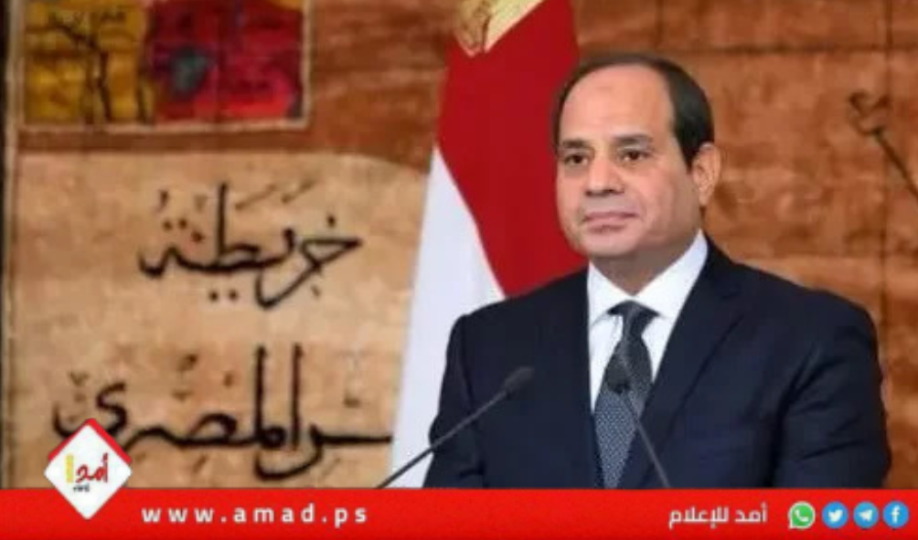 السيسي يحدد (7) ملامح ومستهدفات العمل الوطنى  خلال المرحلة المقبلة- فيديو