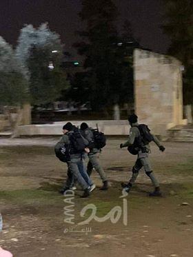 القدس: اعتقال الشاب "محمد أبو فرحة"  في حي باب حطة بالبلدة القديمة
