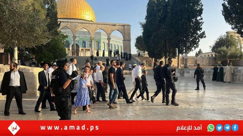 القدس: مستوطنون إرهابيون يقتحمون "الأقصى"