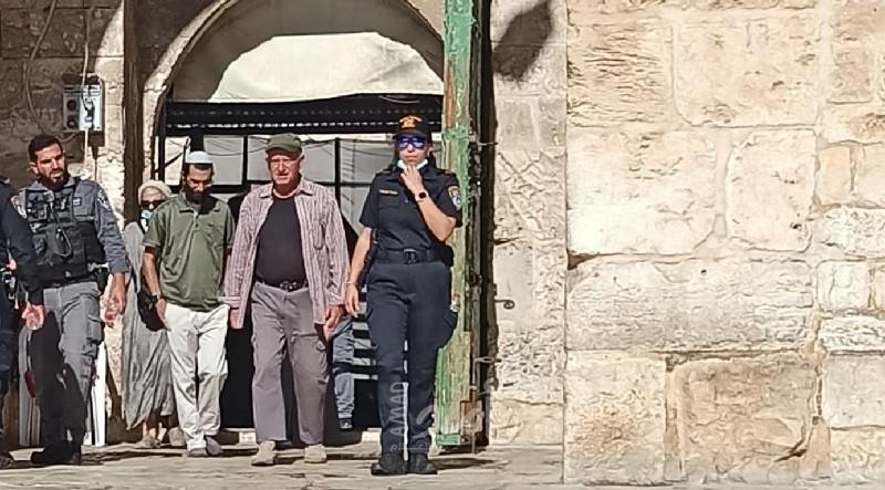 مستوطنون يقتحمون ساحات "الأقصى" بحراسة مشددة