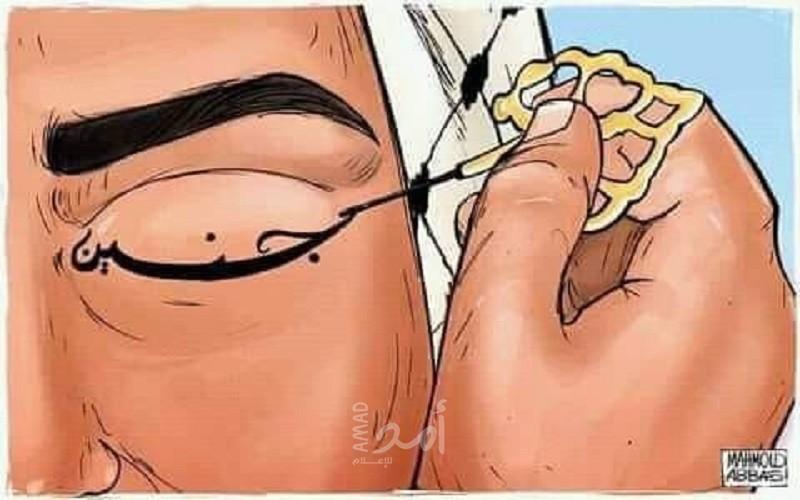 جنين