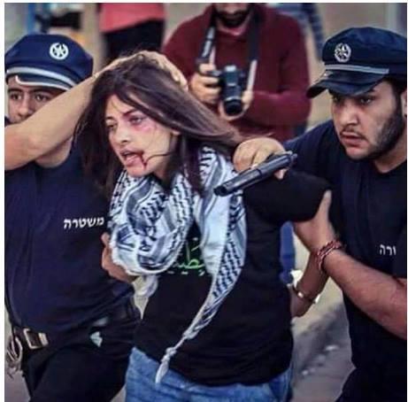 لغة السكين في معجم النضال الفلسطيني