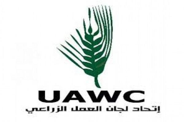 العمل الزراعي ينفذ جولة ميدانية في ميناء غزة