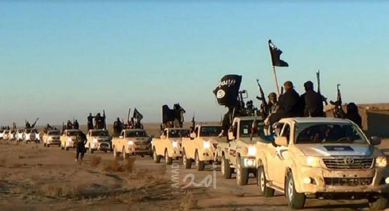 العراق: تصفية (9) قيادات من داعش