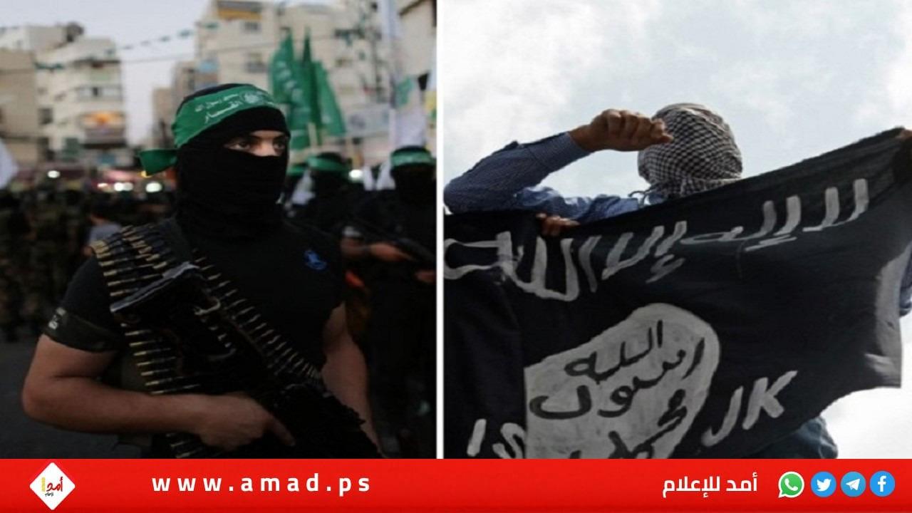 حماس تدعم عمليات داعش في إسرائيل ولا تسمح لهم بالعمل في غزة.. السبب؟!