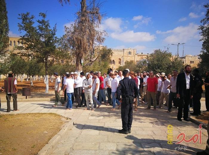 (70) مستوطناً يقتحمون الأقصى بحراسةٍ مشددة