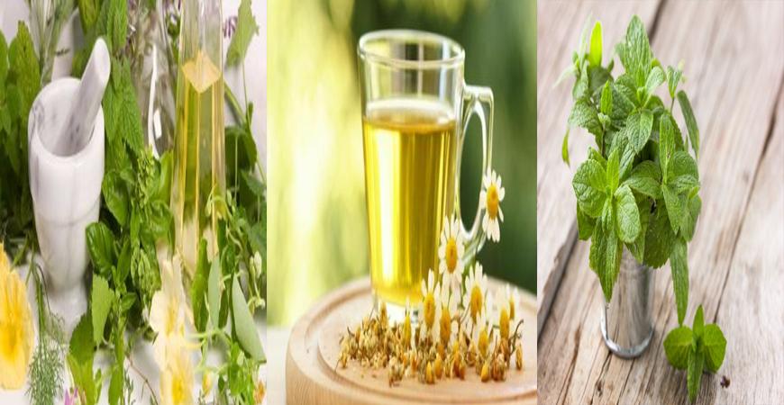 أعشاب طبيعية هتعالج القلق والتوتر