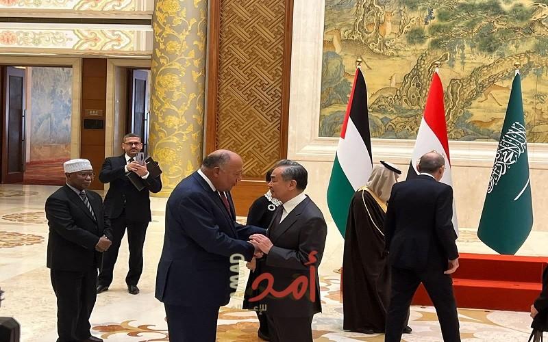 في إطار الجولة الوزارية للجنة المنبثقة عن "قمة الرياض"..لقاء مع نائب الرئيسي ووزير الخارجية - صور