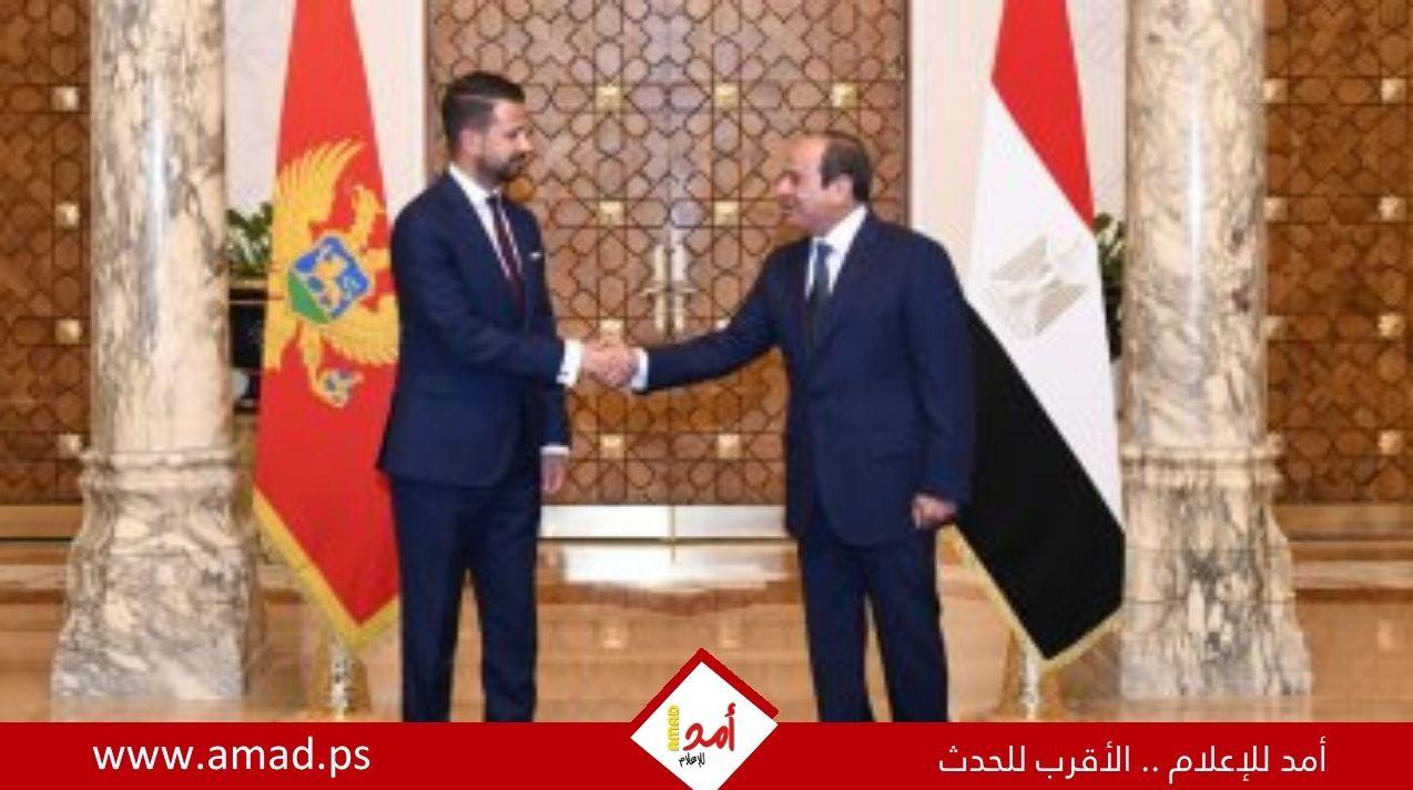 السيسي يؤكد رفض تهجير الفلسطينيين ويشدد على دعم استقرار الخليج - تفاصيل