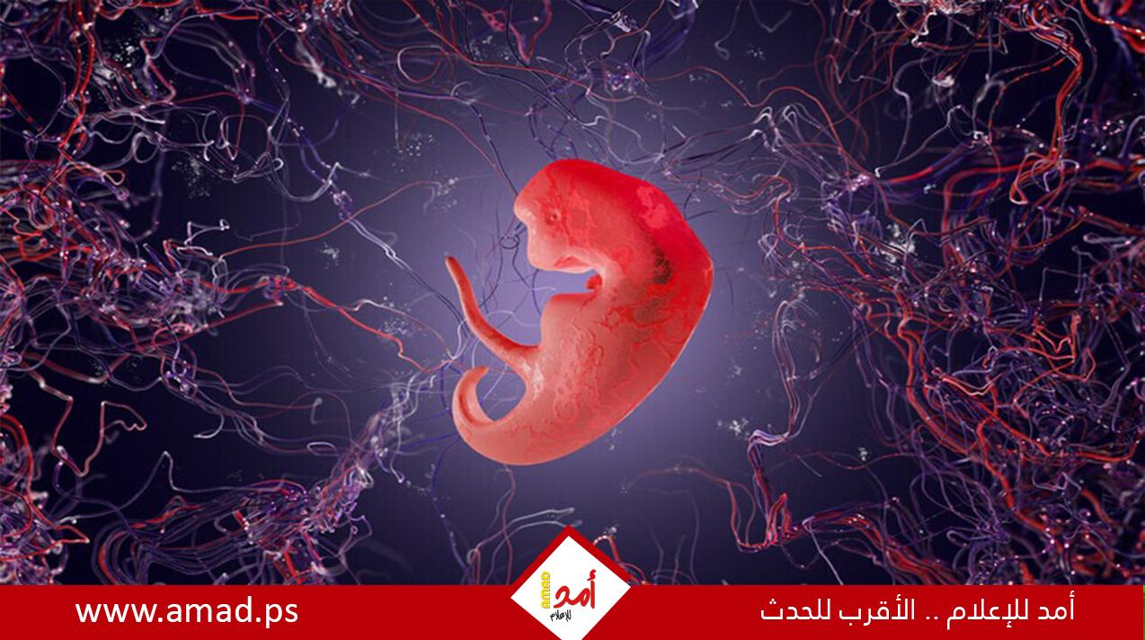 طفرة علمية.. كاميرا متطورة ترصد اللحظات الأولى لتكون الجنين بدقة مذهلة