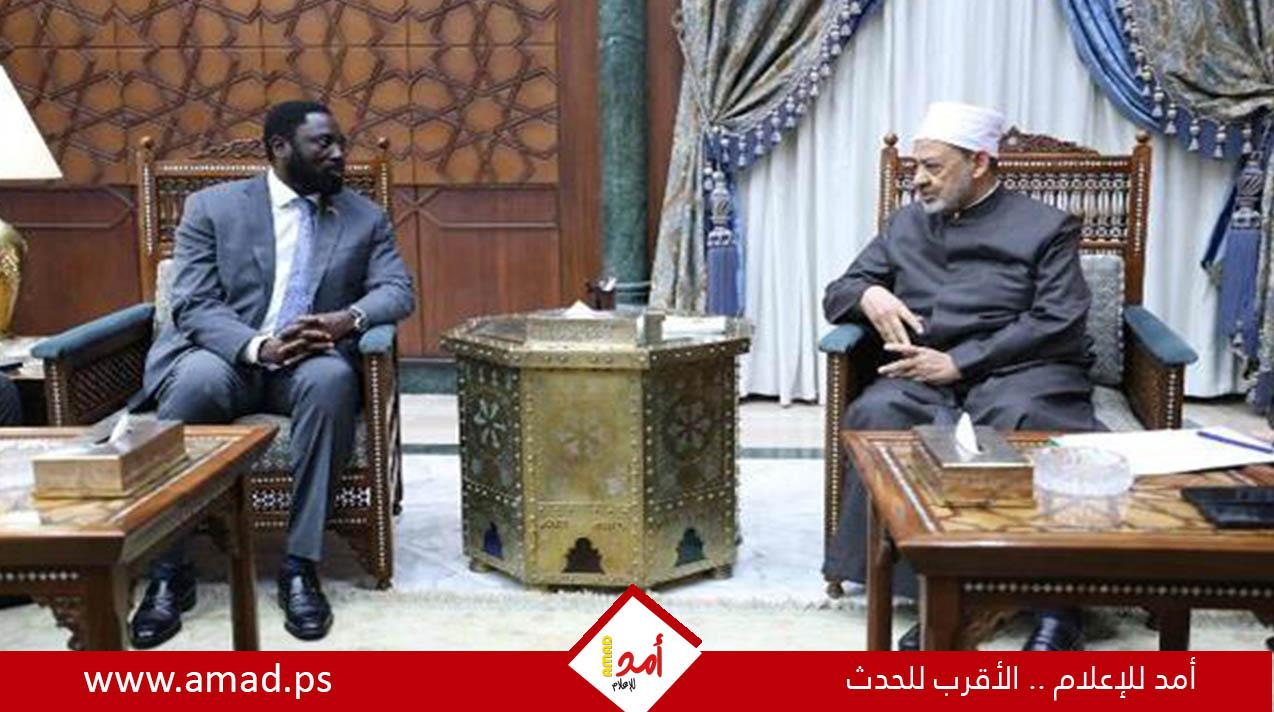 شيخ الأزهر: "إبادة جماعية وتطهير عرقي" يتعرض له الفلسطينيون وسط "تخاذل دولي غير مسبوق"