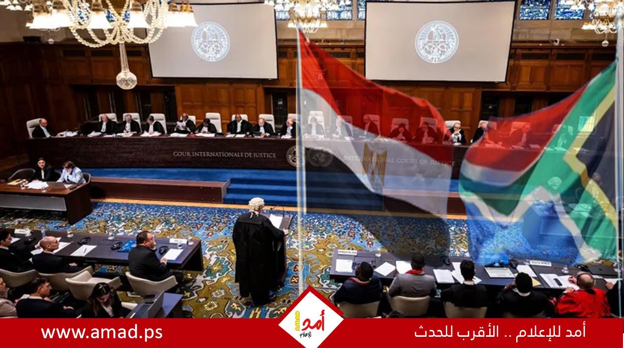 جنوب إفريقيا: انضمام مصر لدعوانا ضد إسرائيل سيعطي زخما أكبر للقضية