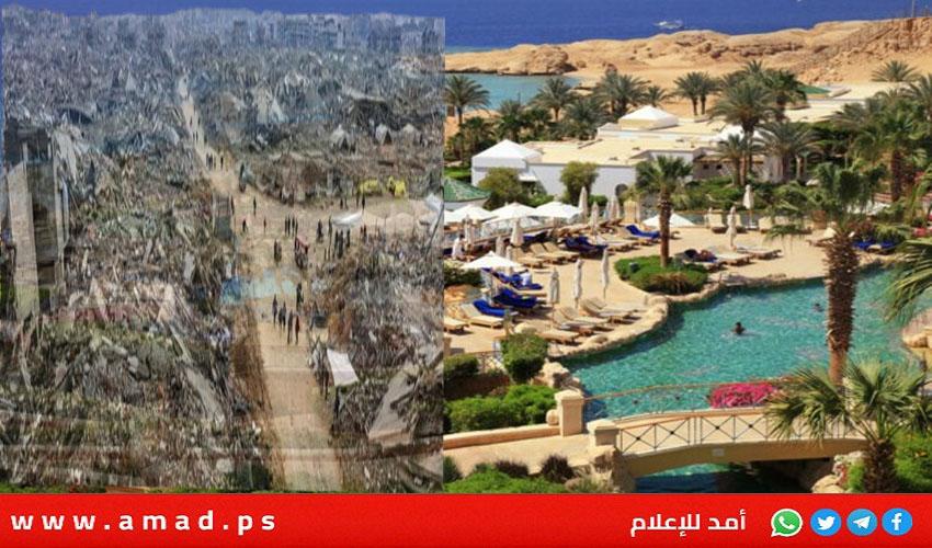 مفاجأة..ديرمر والمبعوثان الأمريكيان يغيبون عن مفاوضات حرب غزة في شرم الشيخ