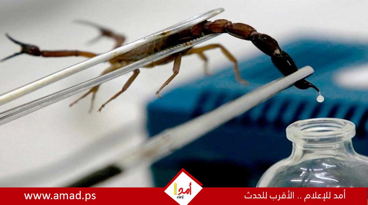 سم العقرب.. أمل واعد في مواجهة سرطان قاتل يصيب النساء