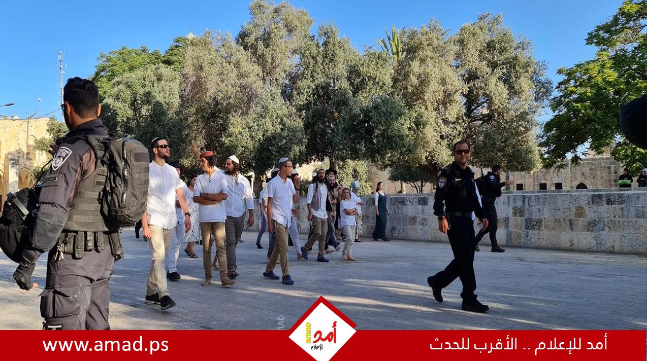 تصاعد اعتداءات المستوطنين بحماية قوات الاحتلال: إصابات واعتقالات في الضفة الغربية - تفاصيل