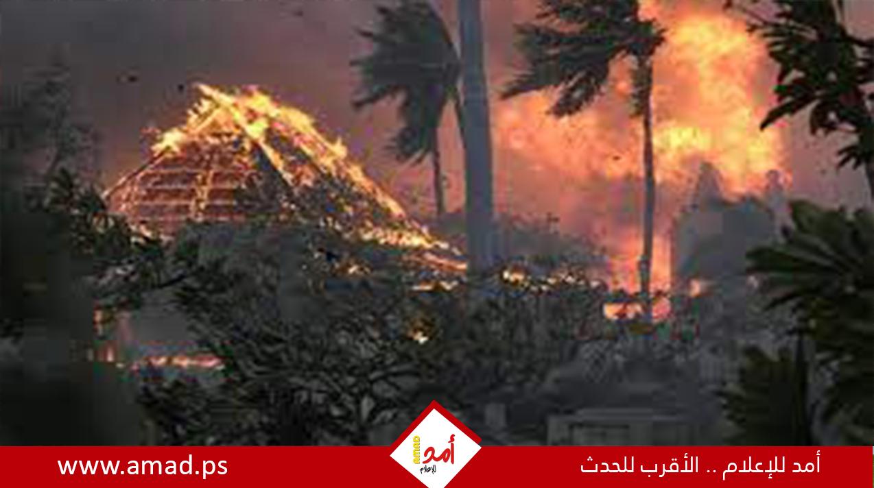 مشاهير شردتهم حرائق غابات كاليفورنيا.. النيران تحاصر النجوم في أمريكا