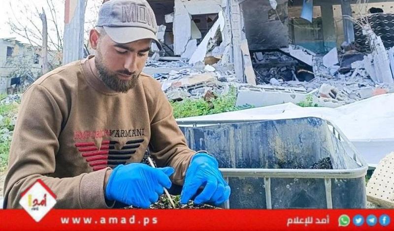 مبادرة لزراعة الأراضي شمال قطاع غزة وإنقاذ الأهالي من المجاعة- صور