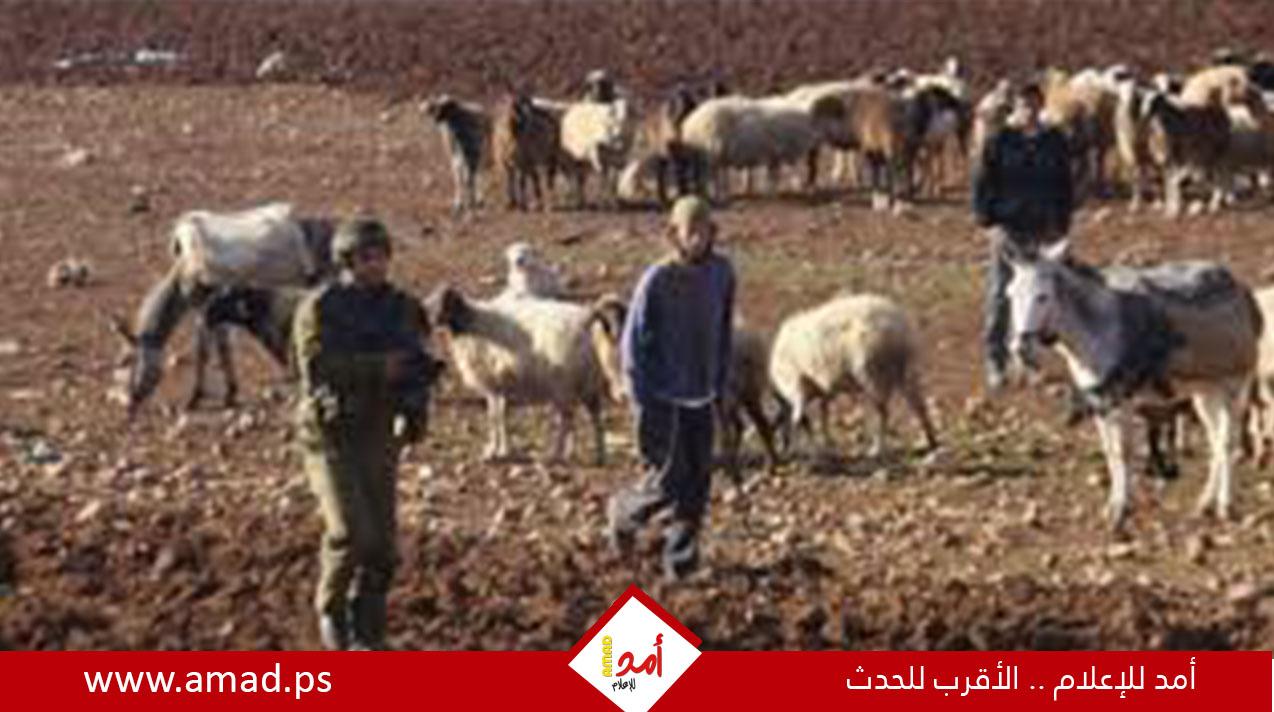 جيش الاحتلال يحذر نتنياهو من خروج الضفة عن السيطرة بسبب عنف المستوطنين
