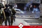 إصابات خلال مواجهات مع قوات الاحتلال في عدة مدن بالضفة والقدس