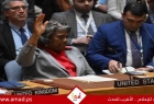 فيتو أمريكي يفشل مشروع قرار بمنح فلسطين العضوية الكاملة في الأمم المتحدة