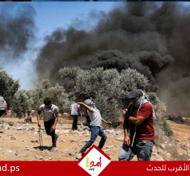 "محدث"..إصابات برصاص قوات الاحتلال خلال مواجهات في مختلف مدن الضفة - صور