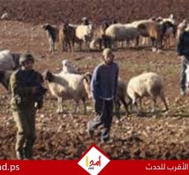 تقرير: إرهاب المستوطنين يتصاعد ويتجاوز " الضغط الأميركي " المزعوم على حكومة نتنياهو