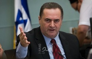 وزير الخارجية الإسرائيلي: العملية العسكرية في غزة ستستمر بعد الإفراج عن الرهائن