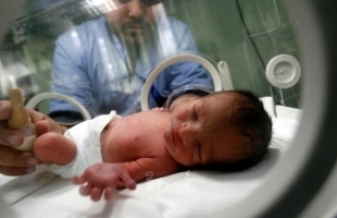 غزة تُسجل (4012) مولودًا جديدًا خلال "يوليو"