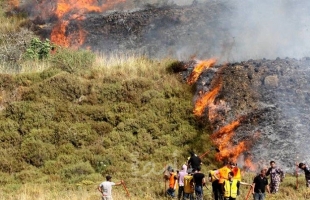 إصابات وإحراق محاصيل زراعية في هجوم للمستوطنين وقوات الاحتلال على دير دبوان