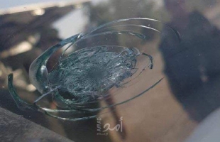 إصابة مستوطنين بمدينة قليقلية
