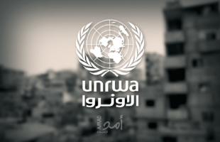 أونروا: 3000 شاحنة محملة بالمساعدات تنتظر للدخول إلى غزة