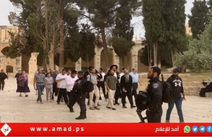 القدس: مستوطنون إرهابيون يقتحمون ساحات "المسجد الأقصى"