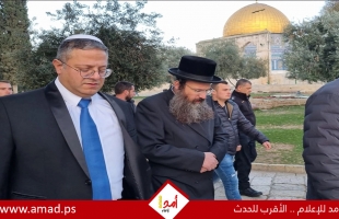 الإعلام العبري: إسرائيل تحاول إلغاء اجتماع مجلس الأمن حول الانتهاكات في المسجد الأقصى