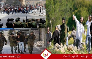 قوات الاحتلال تعتقل متضامنين أجانب خلال قمعه فعالية سلمية في مسافر يطا