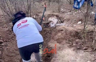 المكسيك: العثور على (22) جثة في "مقابر جماعية"