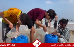 الإحصاء الفلسطيني: كارثة بيئية تهدد سبل الحياة في قطاع غزة